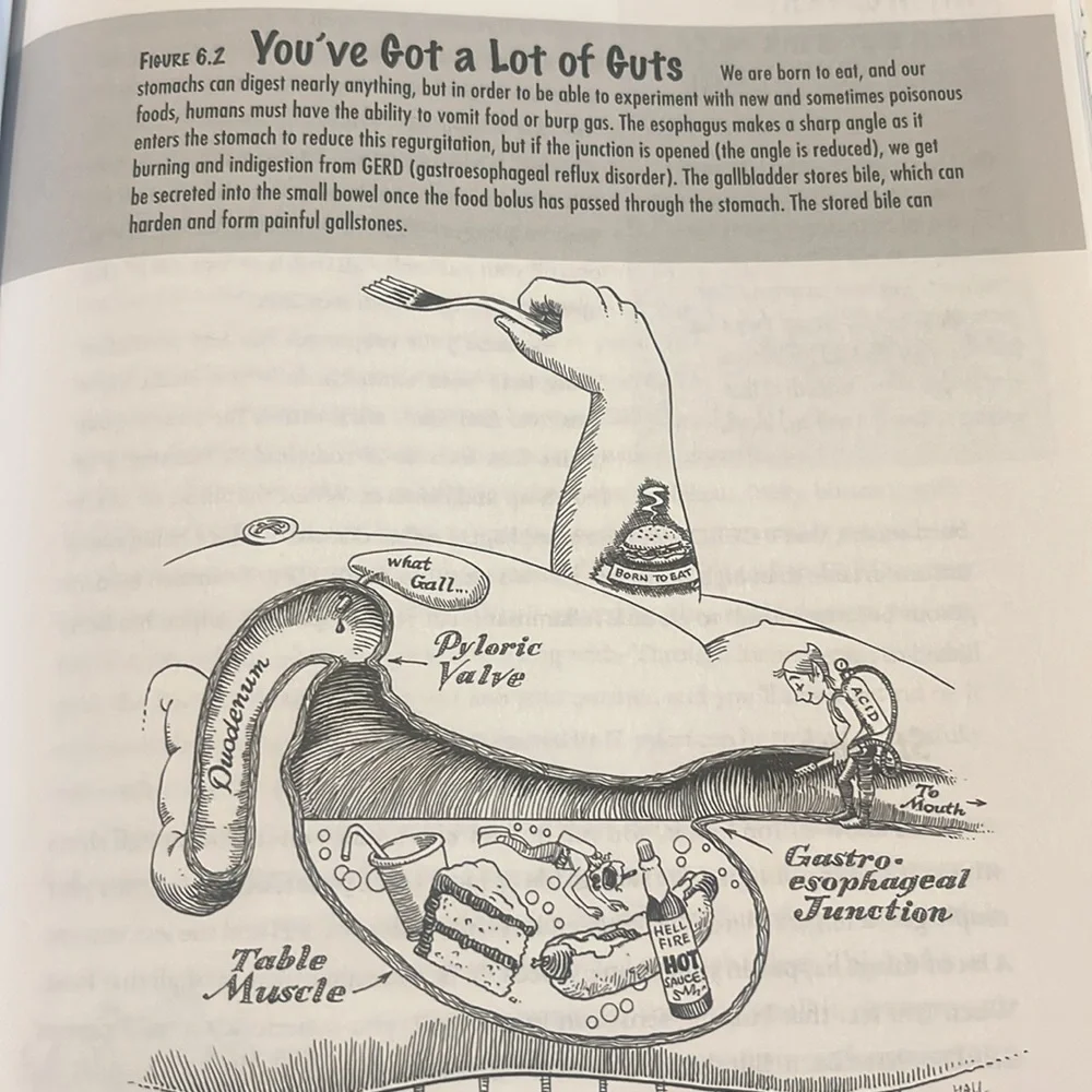 You: The Owner's Manual Book